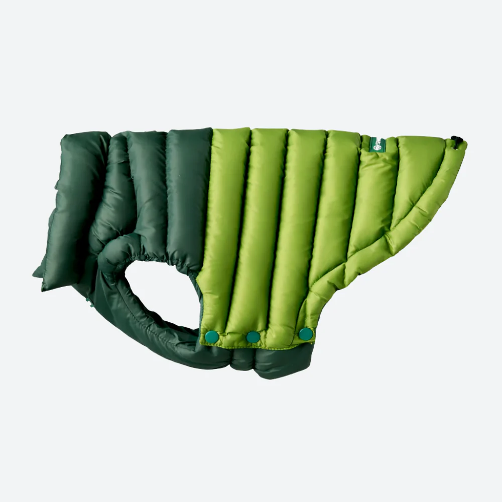 PuffShield Winter Jacket - Green - Image 5