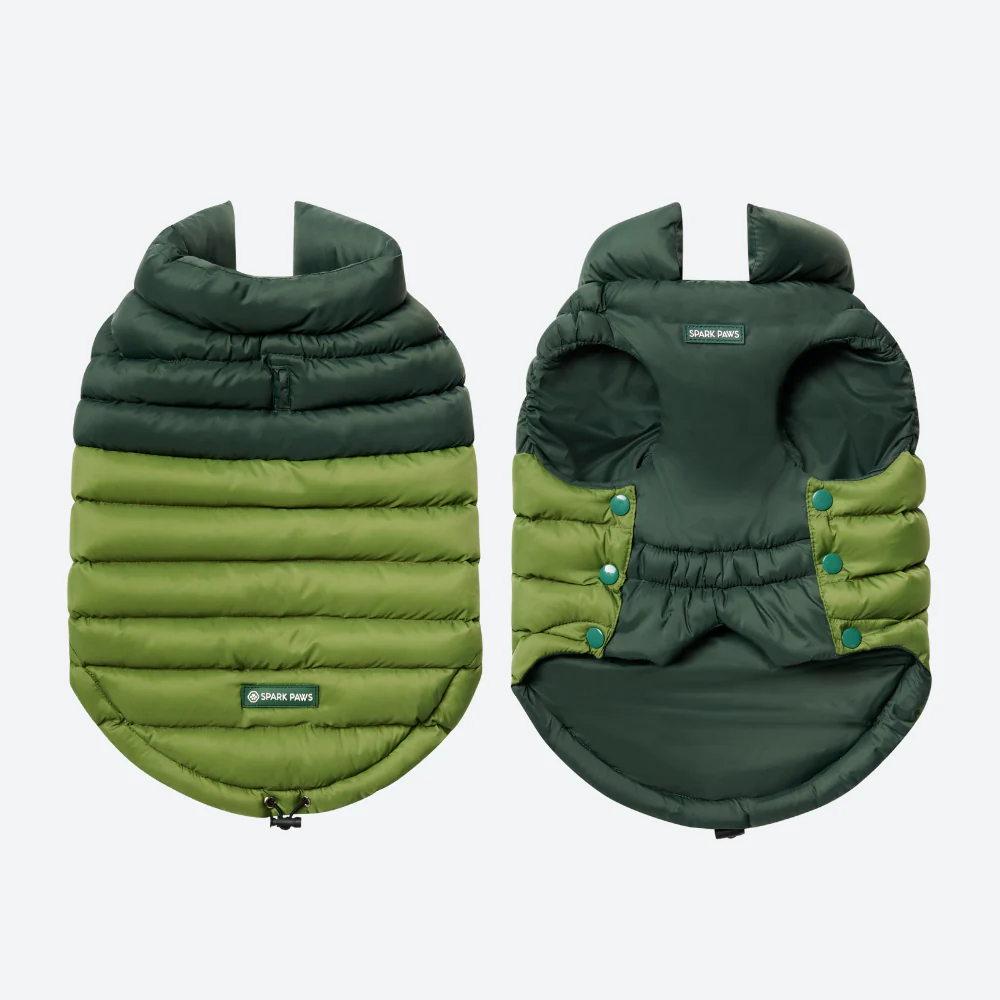 PuffShield Winter Jacket - Green - Image 6