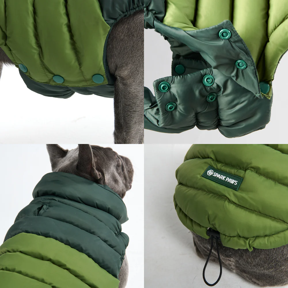 PuffShield Winter Jacket - Green - Image 7