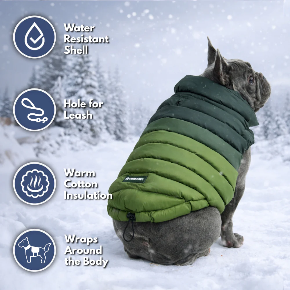 PuffShield Winter Jacket - Green - Image 8