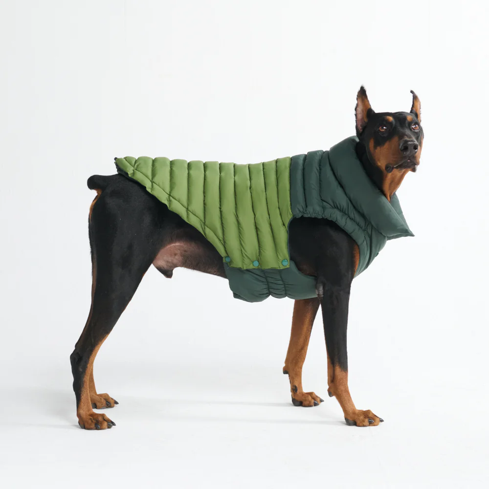 PuffShield Winter Jacket - Green - Image 9