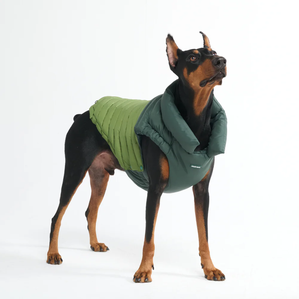 PuffShield Winter Jacket - Green - Image 10