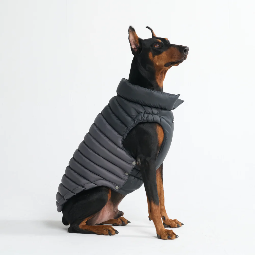 PuffShield Winter Jacket - Black - Image 2