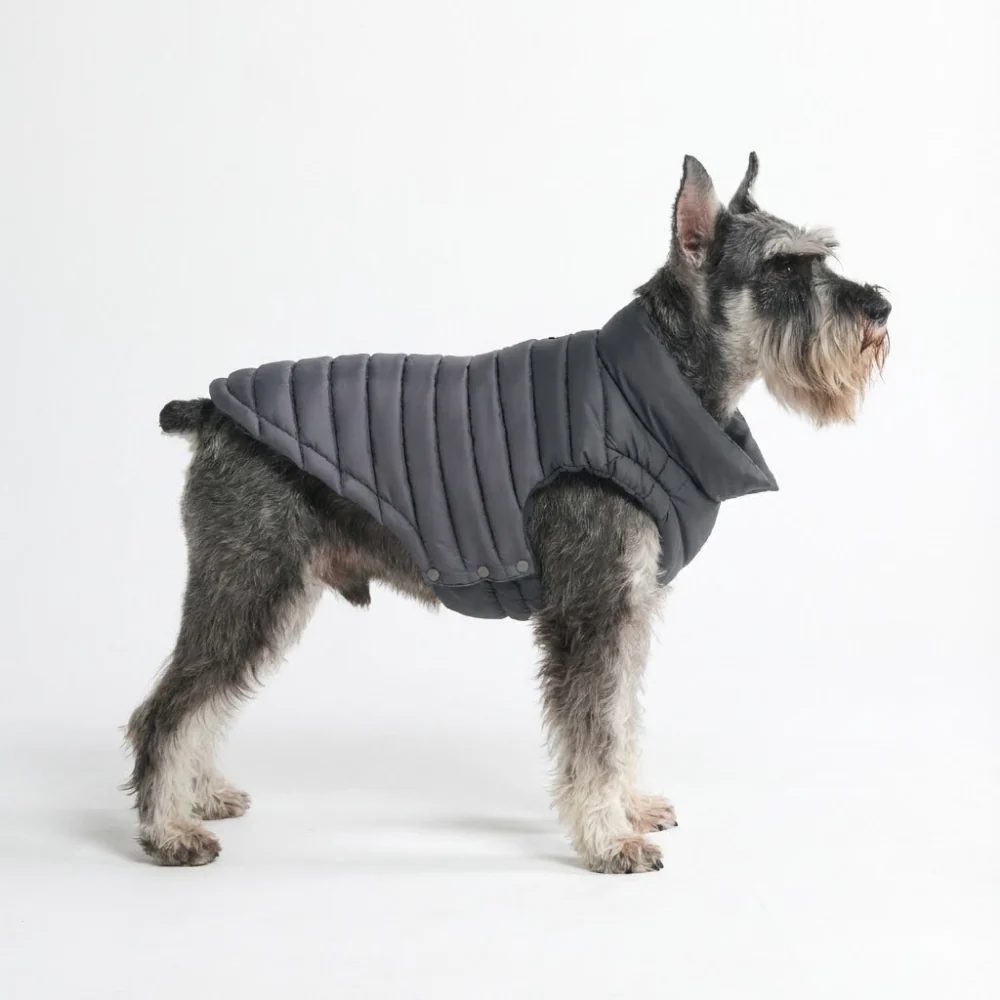 PuffShield Winter Jacket - Black - Image 3