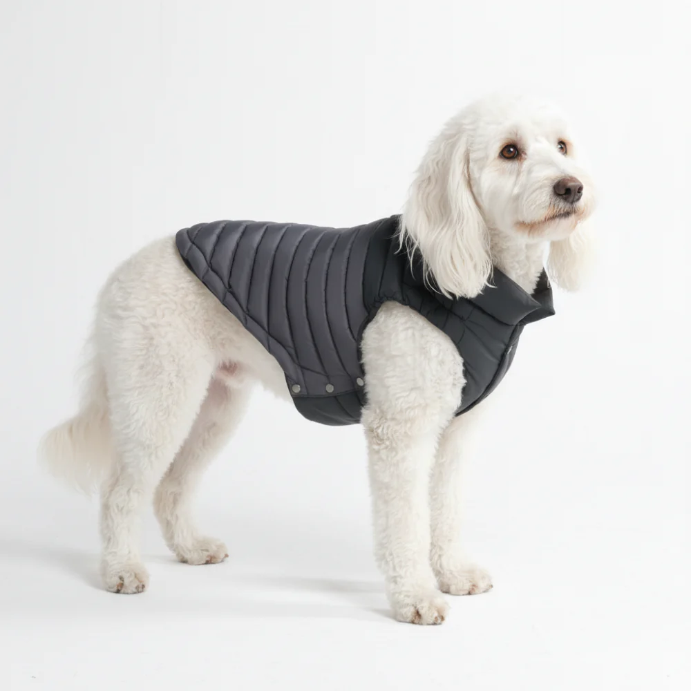 PuffShield Winter Jacket - Black - Image 4