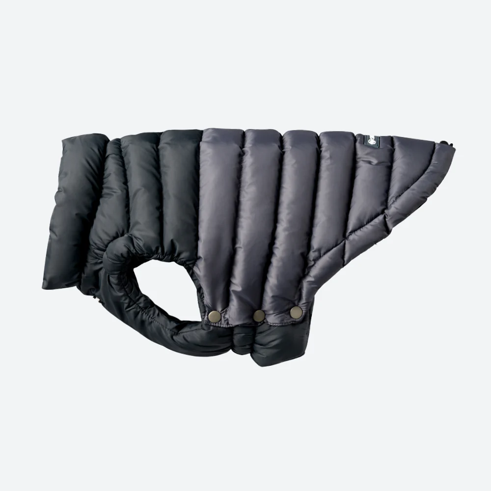 PuffShield Winter Jacket - Black - Image 5