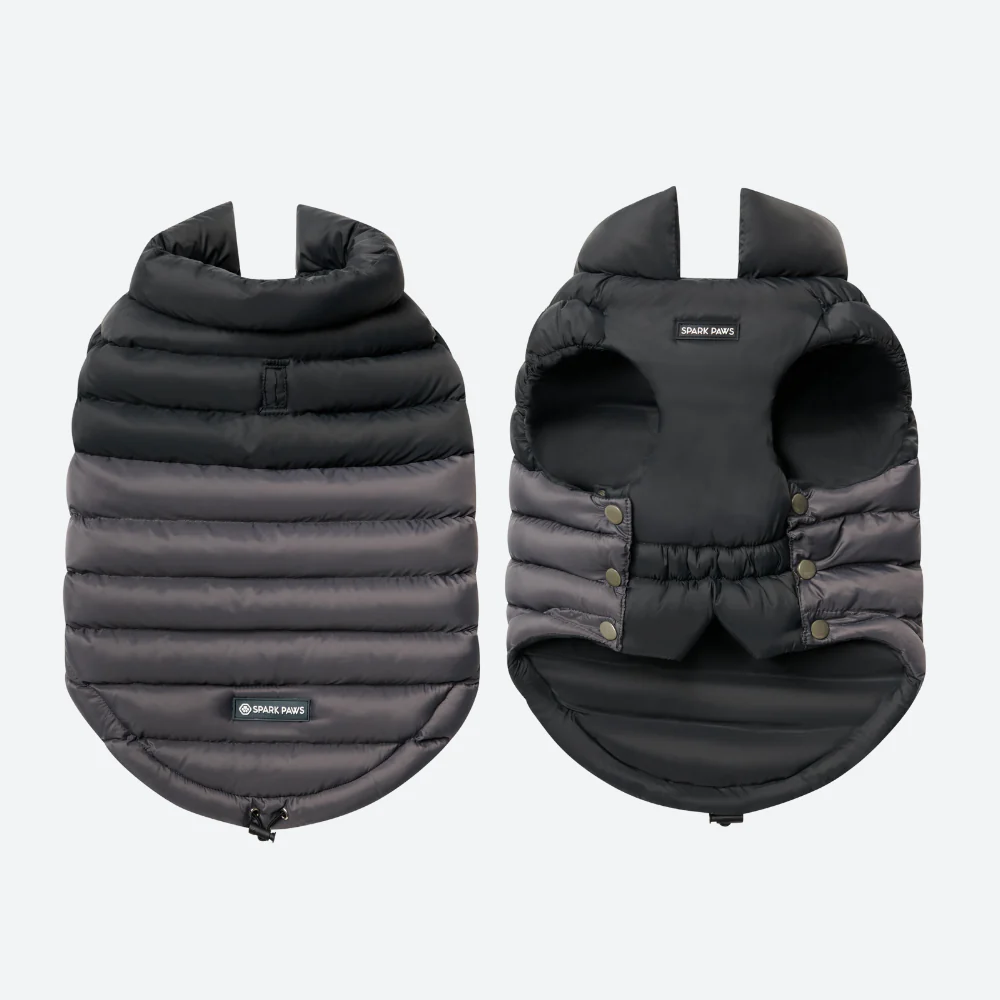PuffShield Winter Jacket - Black - Image 6
