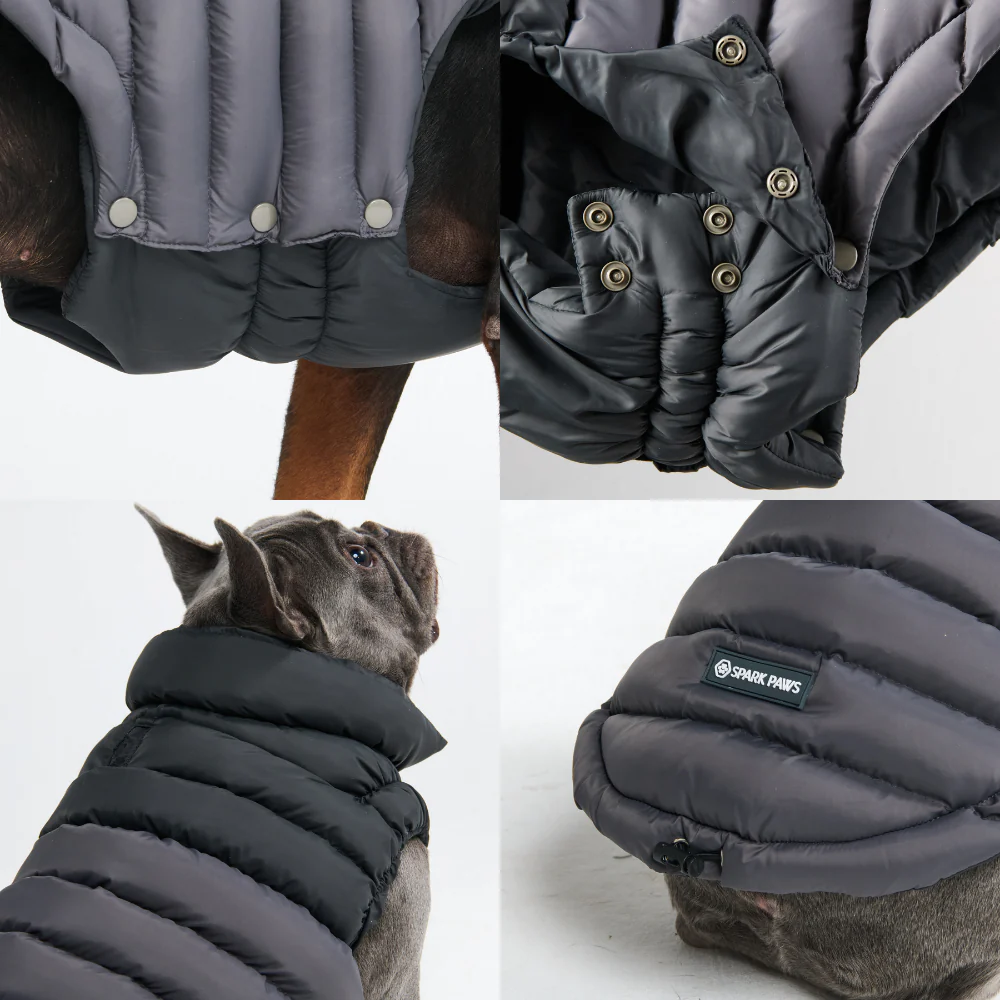 PuffShield Winter Jacket - Black - Image 7