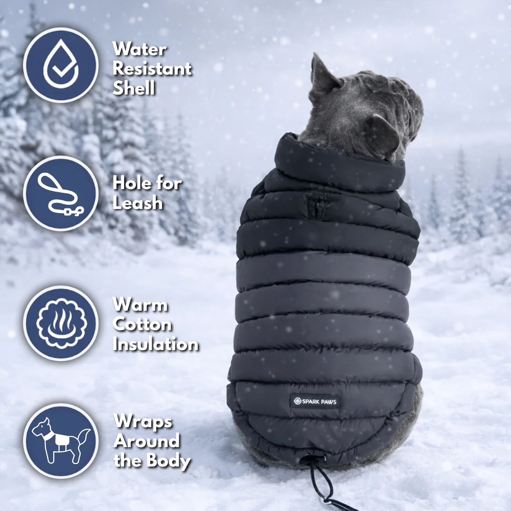 PuffShield Winter Jacket - Black - Image 8