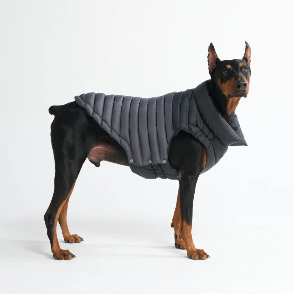 PuffShield Winter Jacket - Black - Image 10
