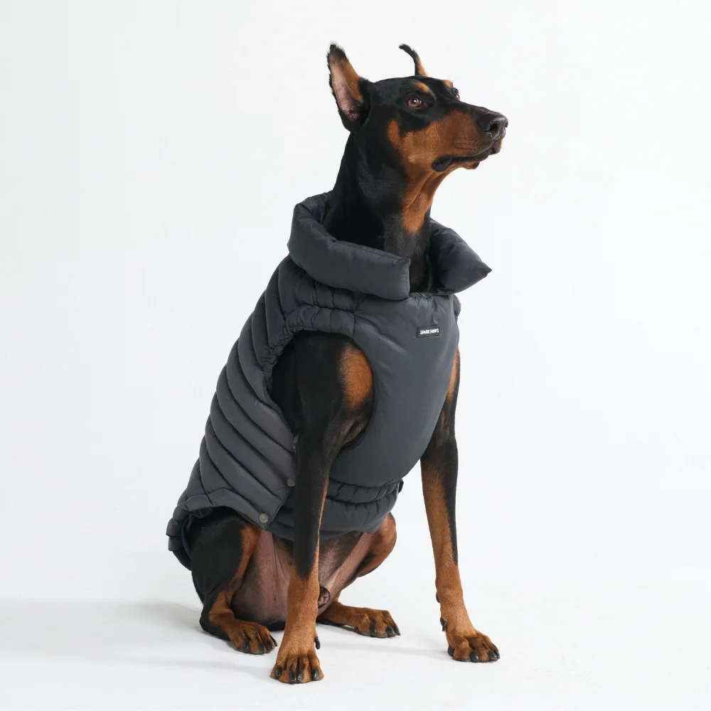 PuffShield Winter Jacket - Black - Image 9