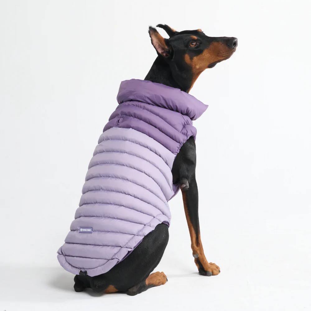 PuffShield Winter Jackets - Image 52