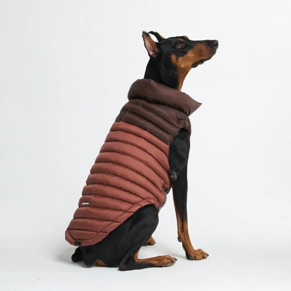 PuffShield Winter Jacket - Brown - Image 10