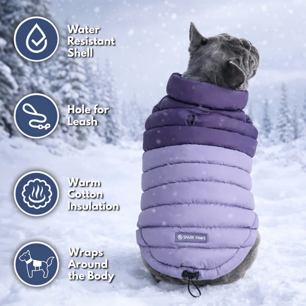 PuffShield Winter Jacket -  Purple - Image 8