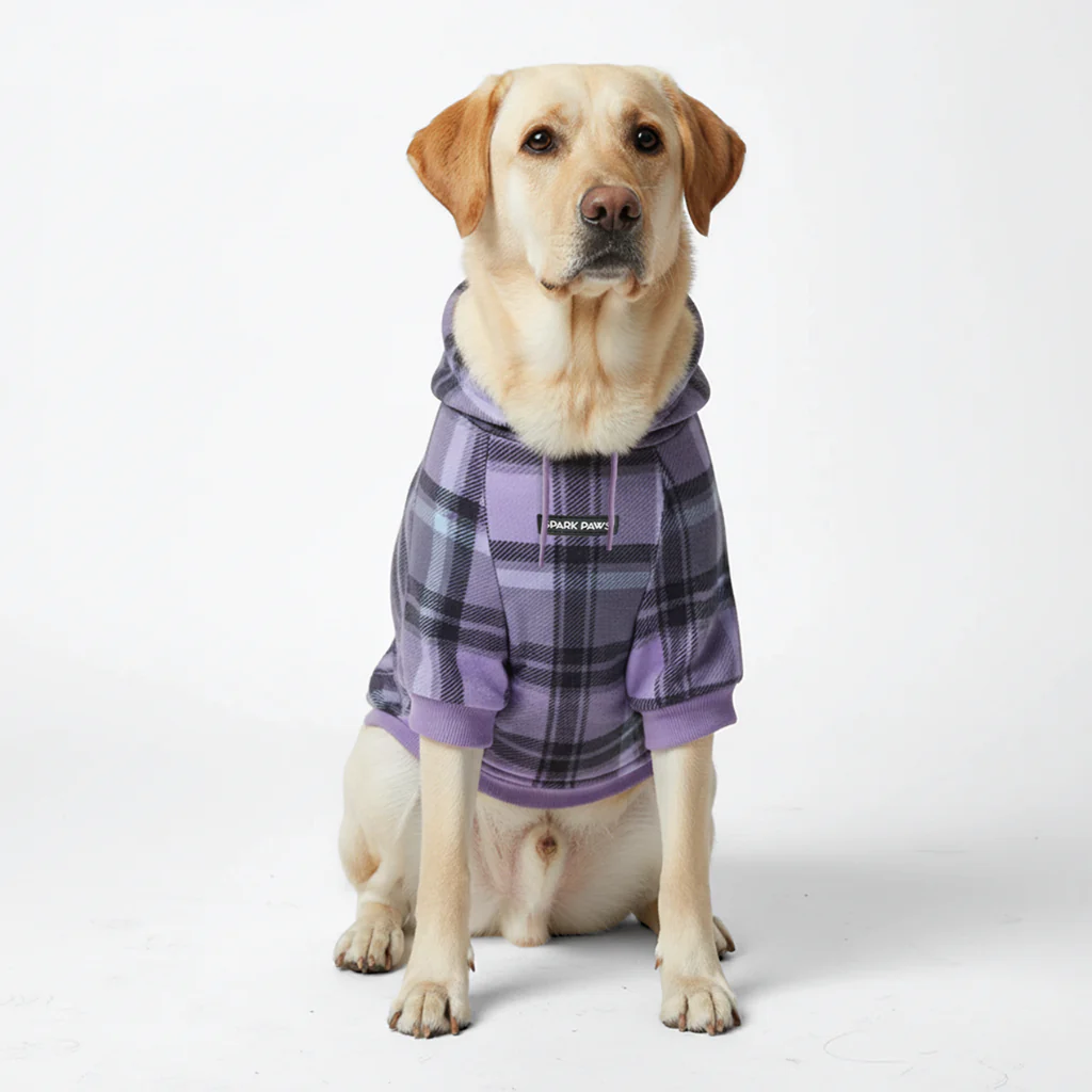 Purple Plaid Dog Hoodie - Image 5