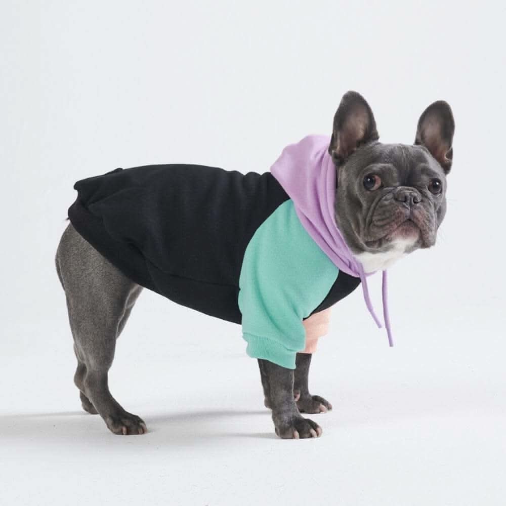 Color Block Dog Hoodies - Image 4