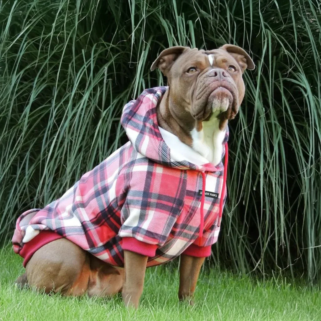 Plaid Dog Hoodies - Image 11