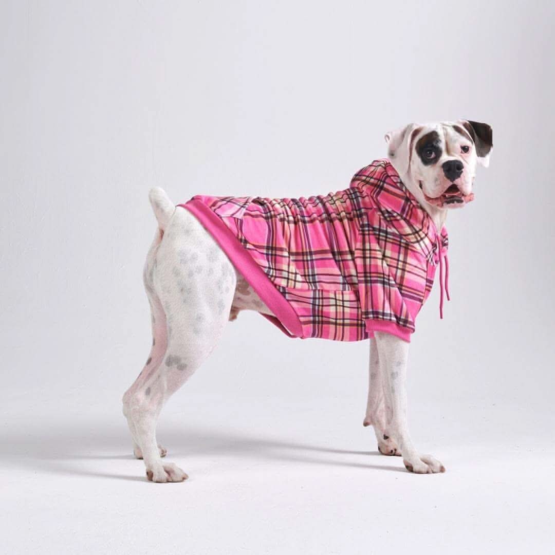 Plaid Dog Hoodies - Image 37