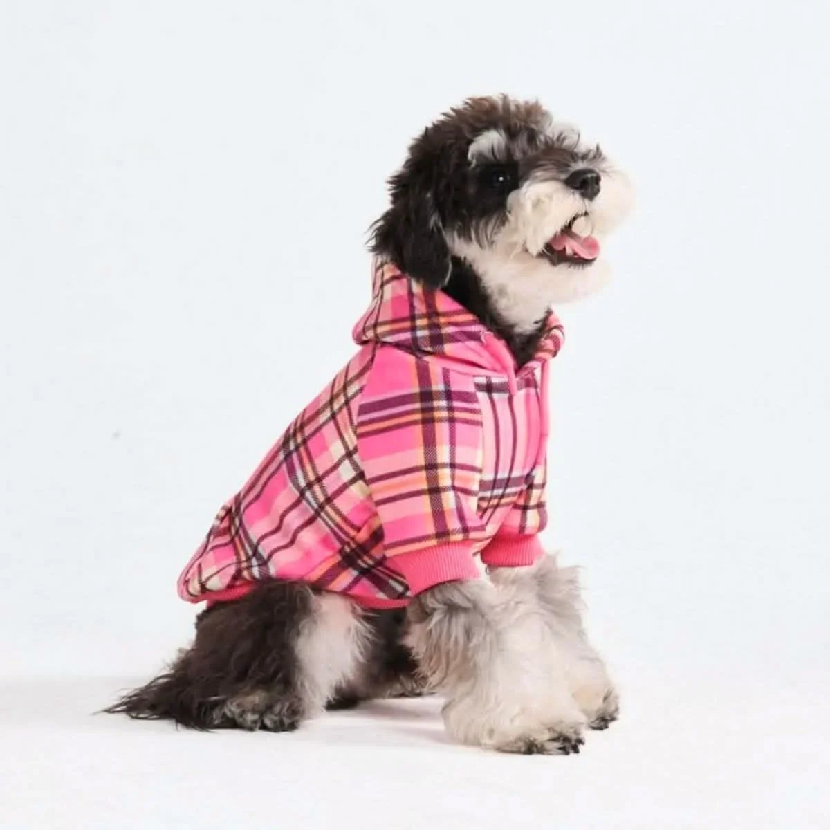 Plaid Dog Hoodies - Image 39