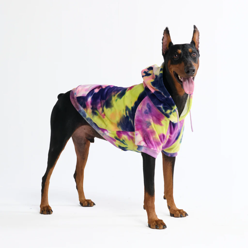 Velvet Dog Hoodies - Image 19