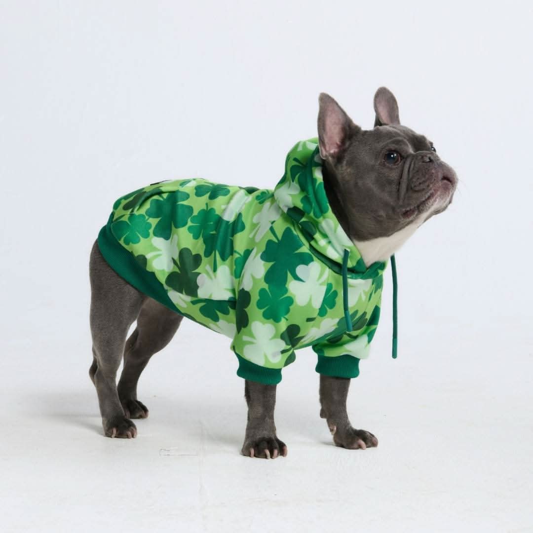 St. Paddy's Dog Hoodies (Limited Edition) - Image 12