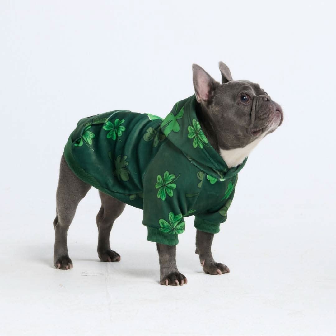 St. Paddy's Dog Hoodies (Limited Edition) - Image 4