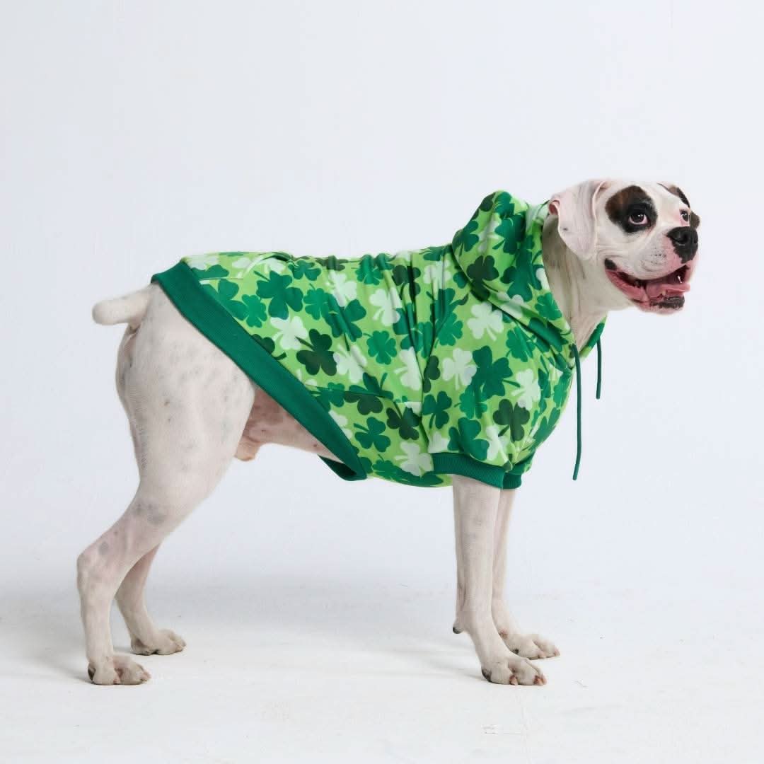 St. Paddy's Dog Hoodies (Limited Edition) - Image 9