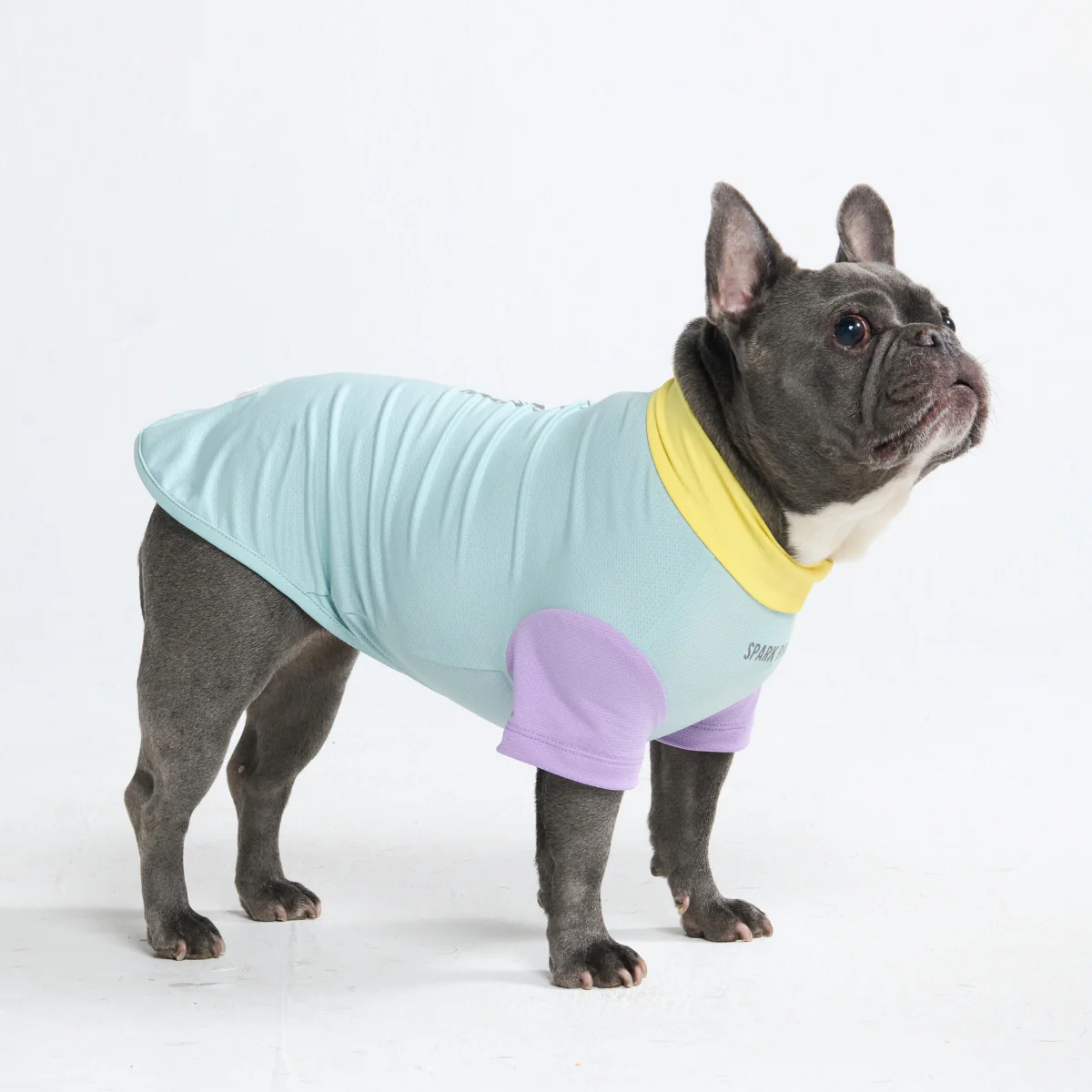 Sunblock Dog T-Shirt - Color Block - Image 13