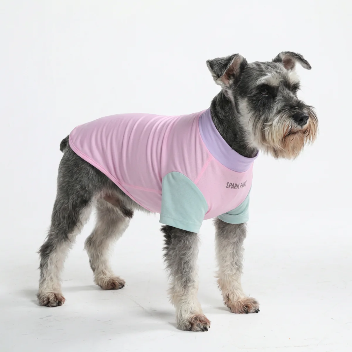 Sunblock Dog T-Shirt - Color Block - Image 3