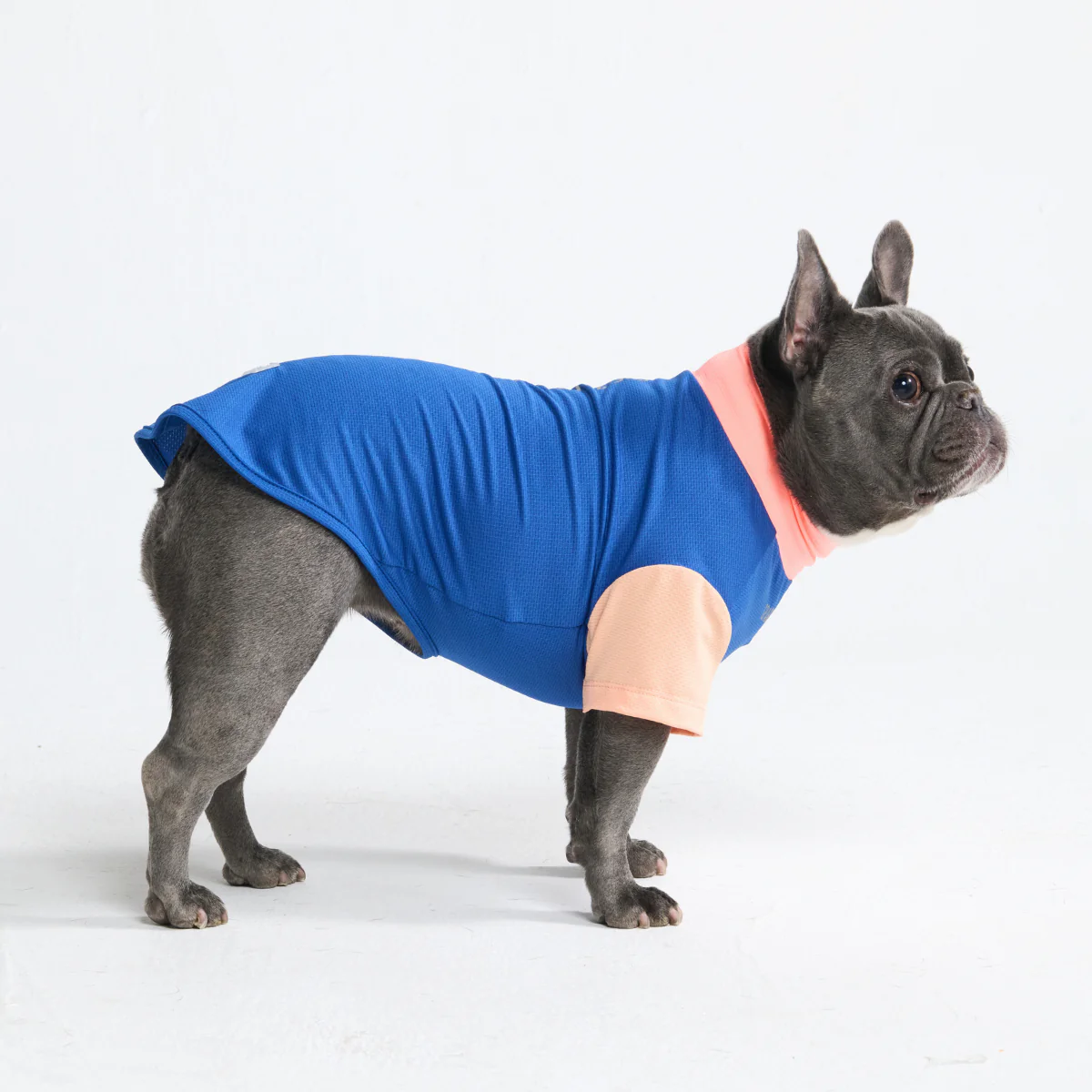 Sunblock Dog T-Shirt - Color Block - Image 37