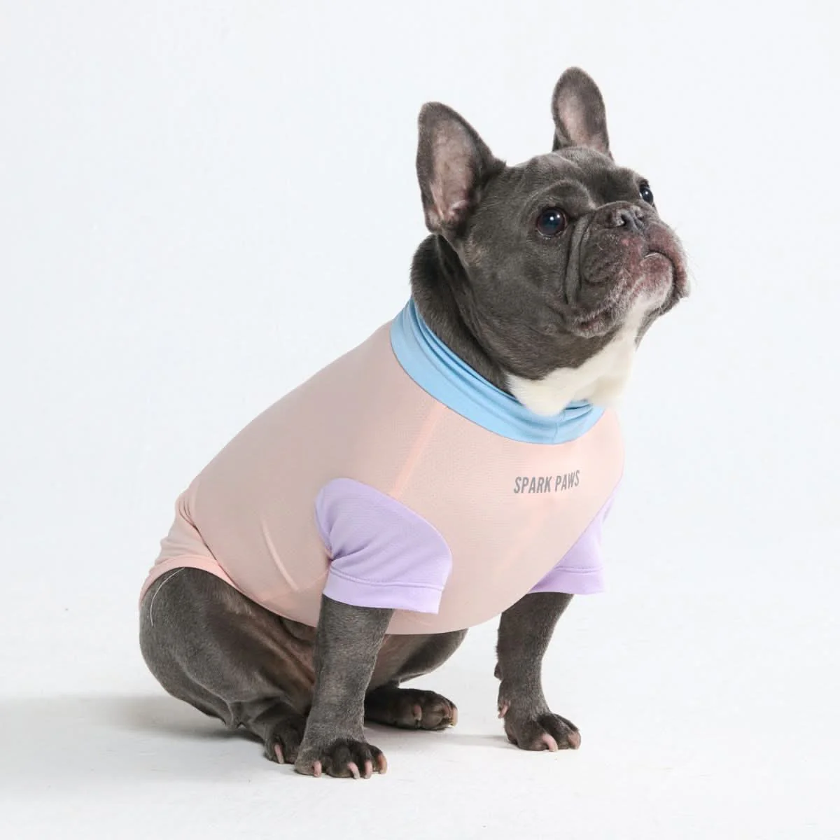 Sunblock Dog T-Shirt - Color Block - Image 54