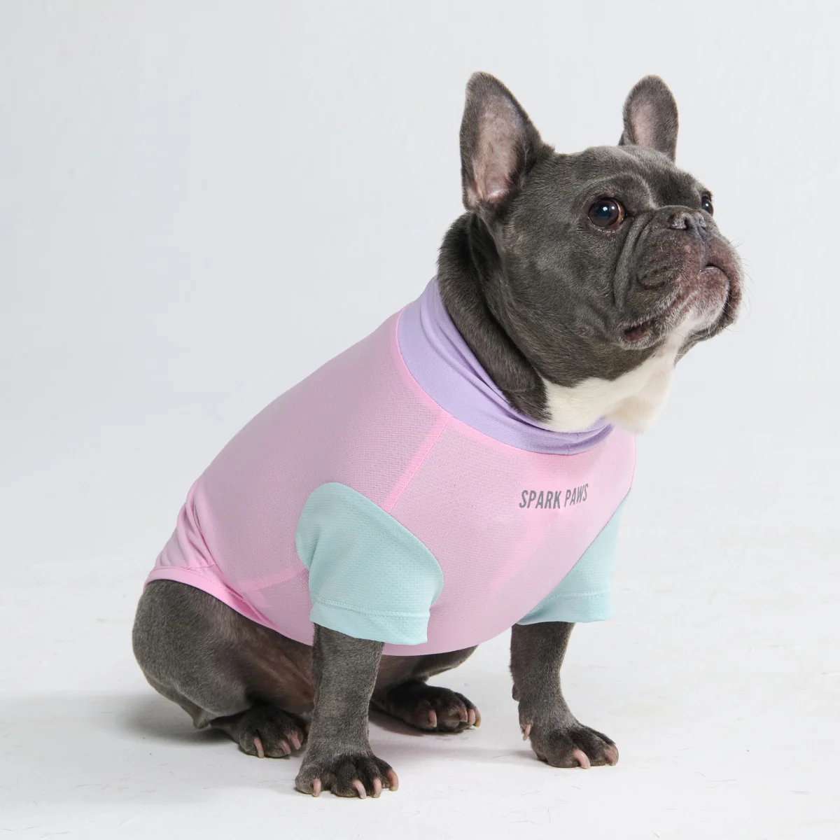 Sunblock Dog T-Shirt - Color Block - Image 6