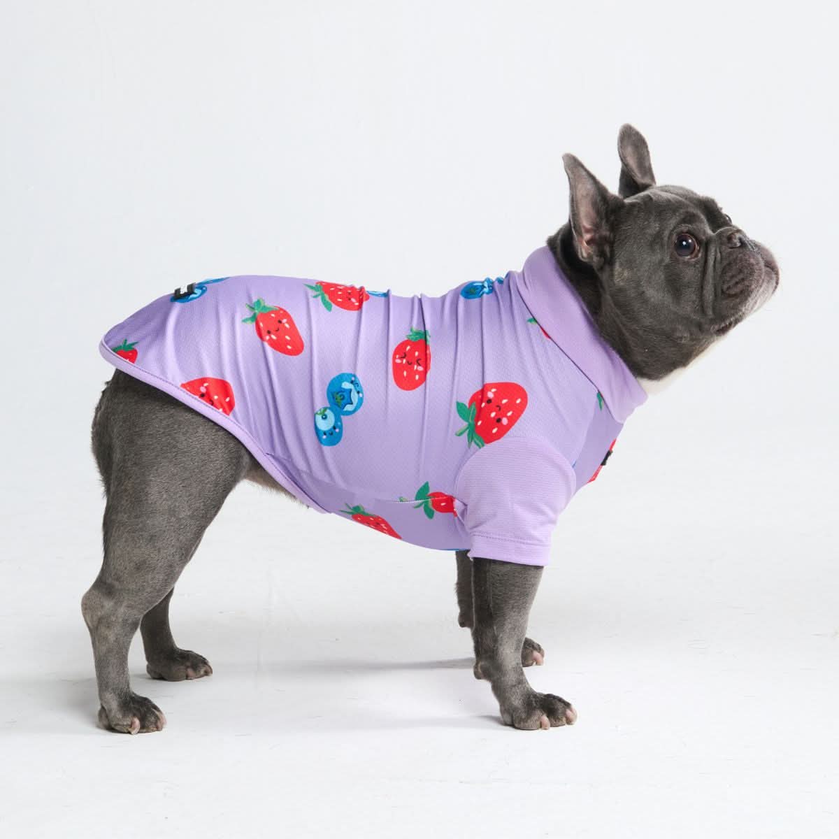 Sunblock Dog T-Shirt - Prints - Image 29
