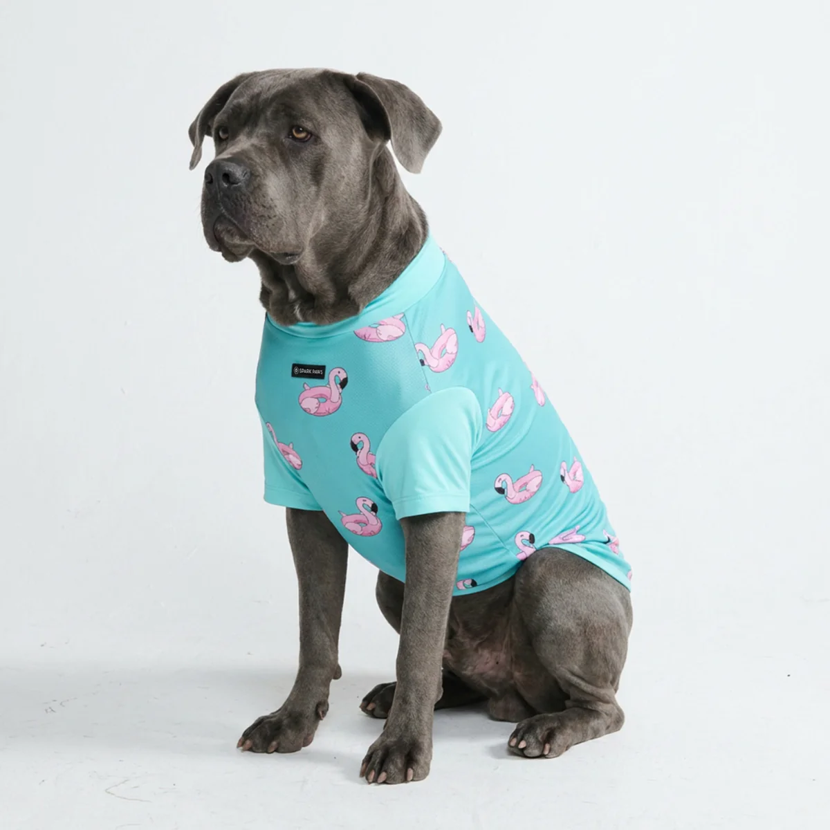 Sunblock Dog T-Shirt - Prints - Image 12