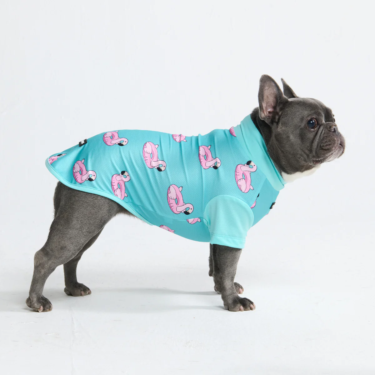 Sunblock Dog T-Shirt - Prints - Image 13