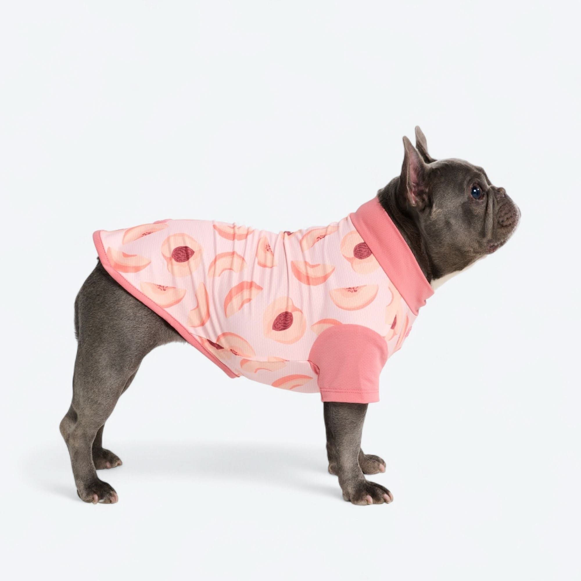 Sunblock Dog T-Shirt - Prints - Image 45