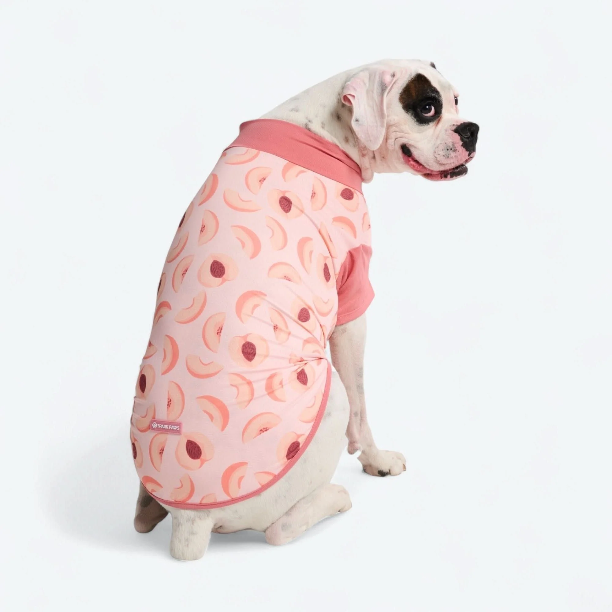 Sunblock Dog T-Shirt - Prints - Image 47