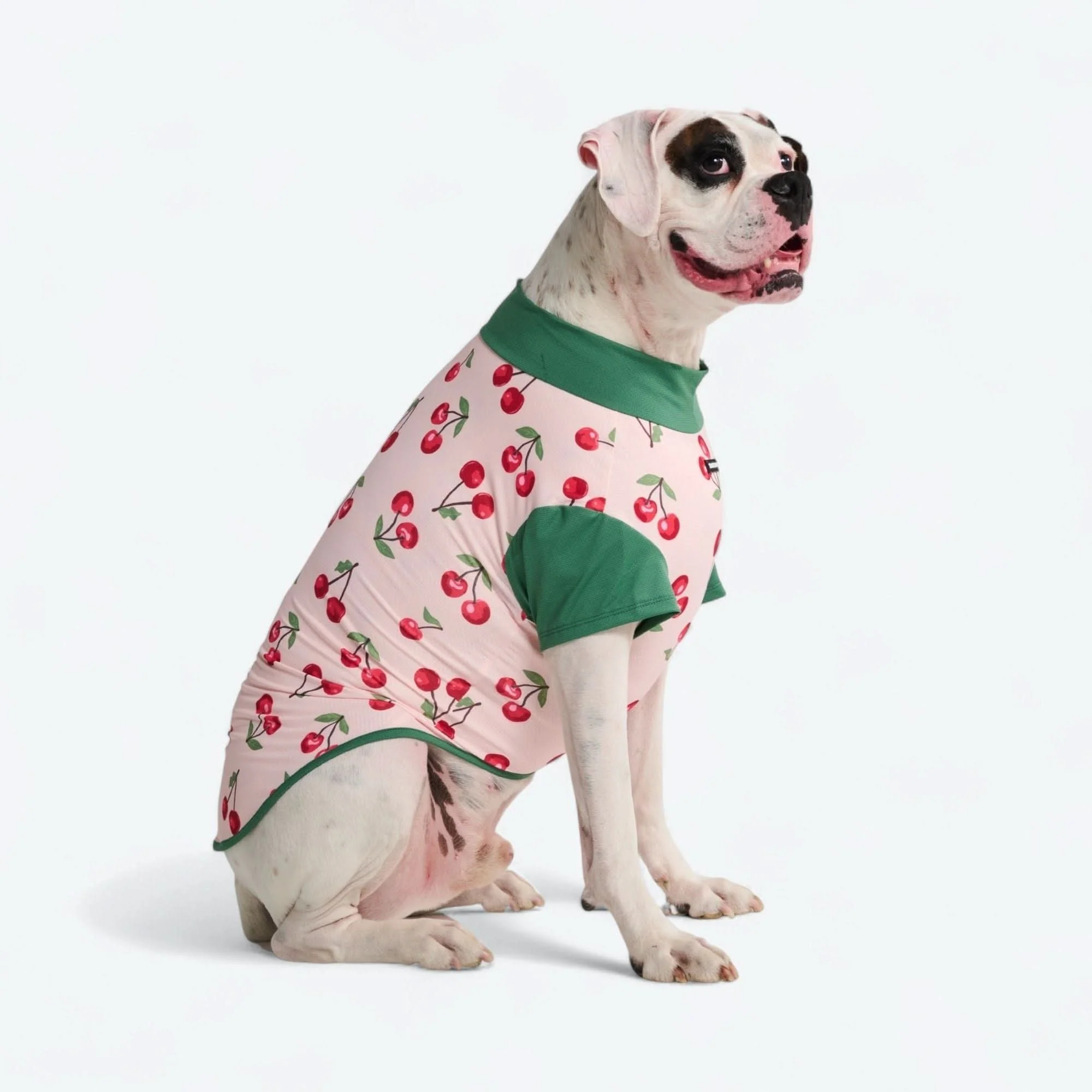 Sunblock Dog T-Shirt - Prints - Image 52