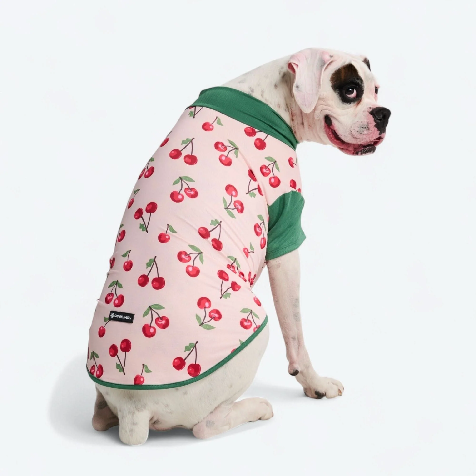 Sunblock Dog T-Shirt - Prints - Image 54