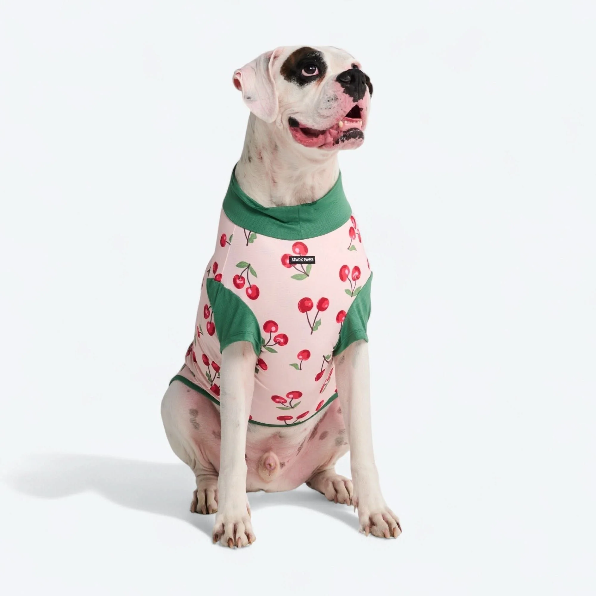 Sunblock Dog T-Shirt - Prints - Image 55