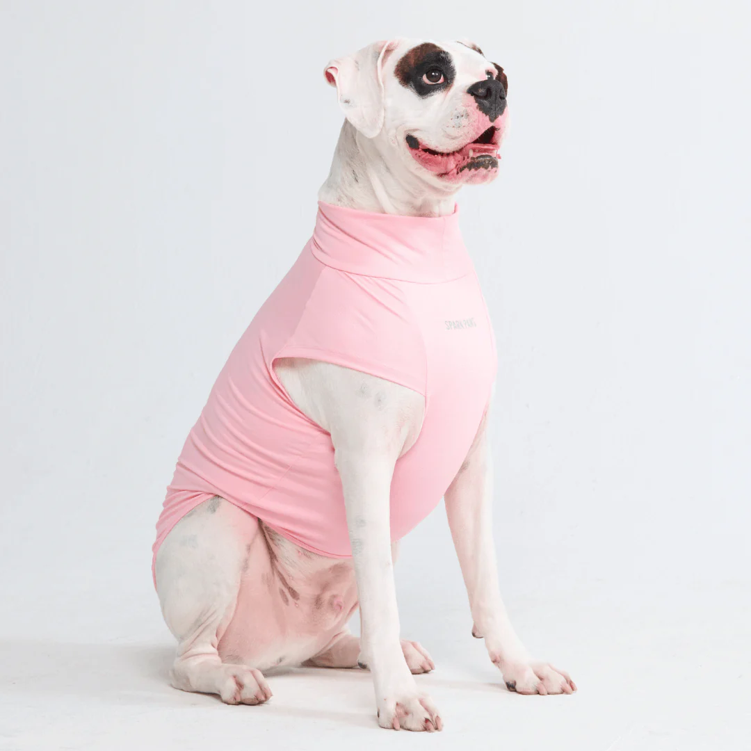 Sunblock Dog T-Shirts - Image 10