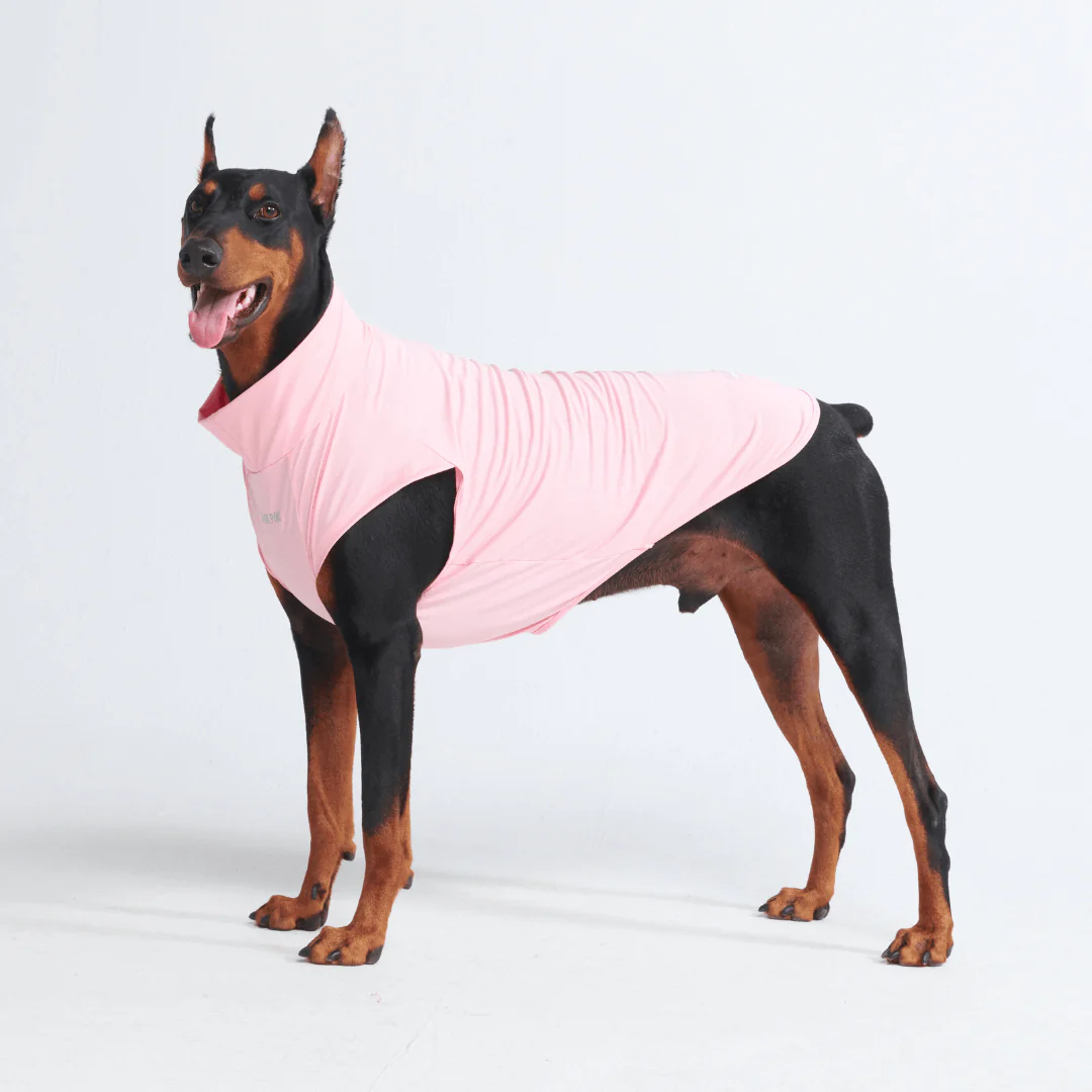 Sunblock Dog T-Shirts - Image 13