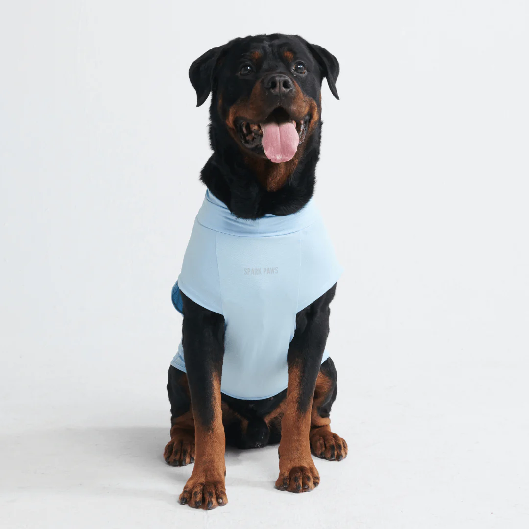 Sunblock Dog T-Shirts - Image 15