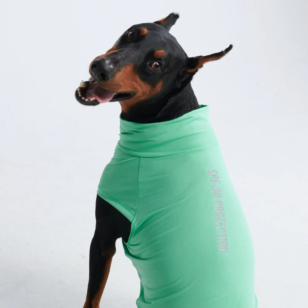 Sunblock Dog T-Shirts - Image 33