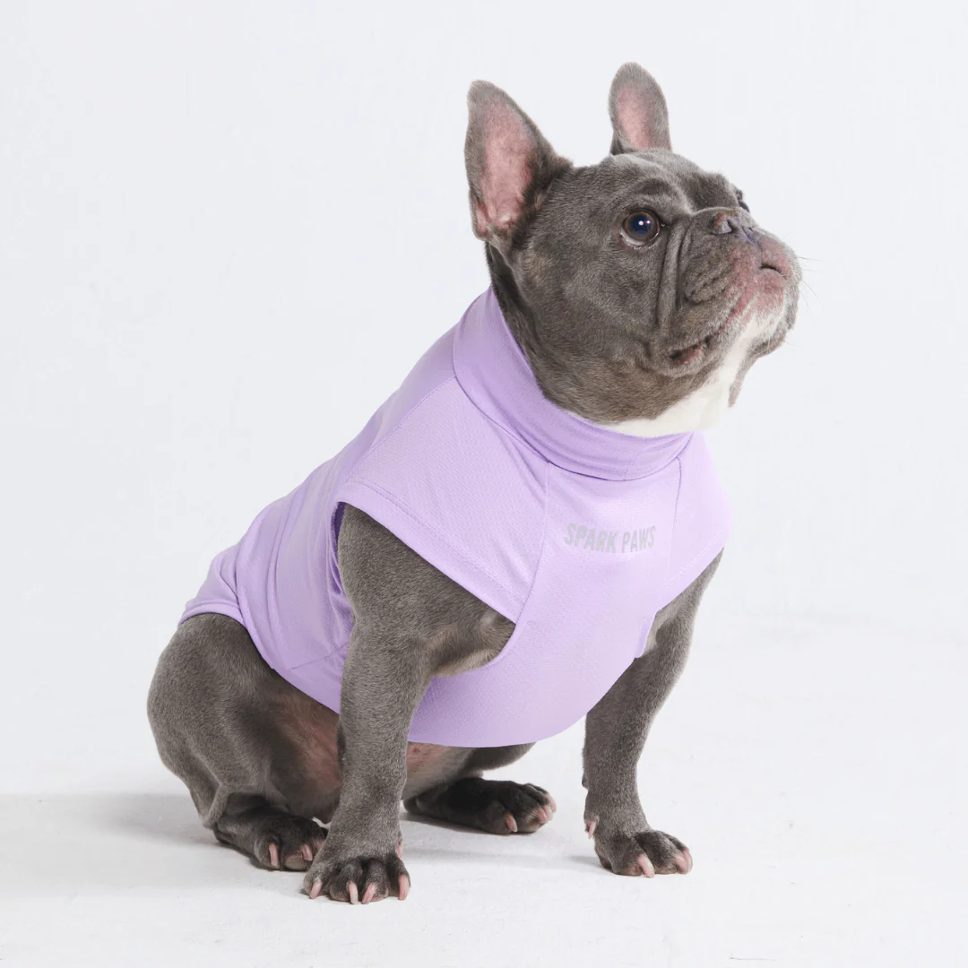 Sunblock Dog T-Shirts - Image 6