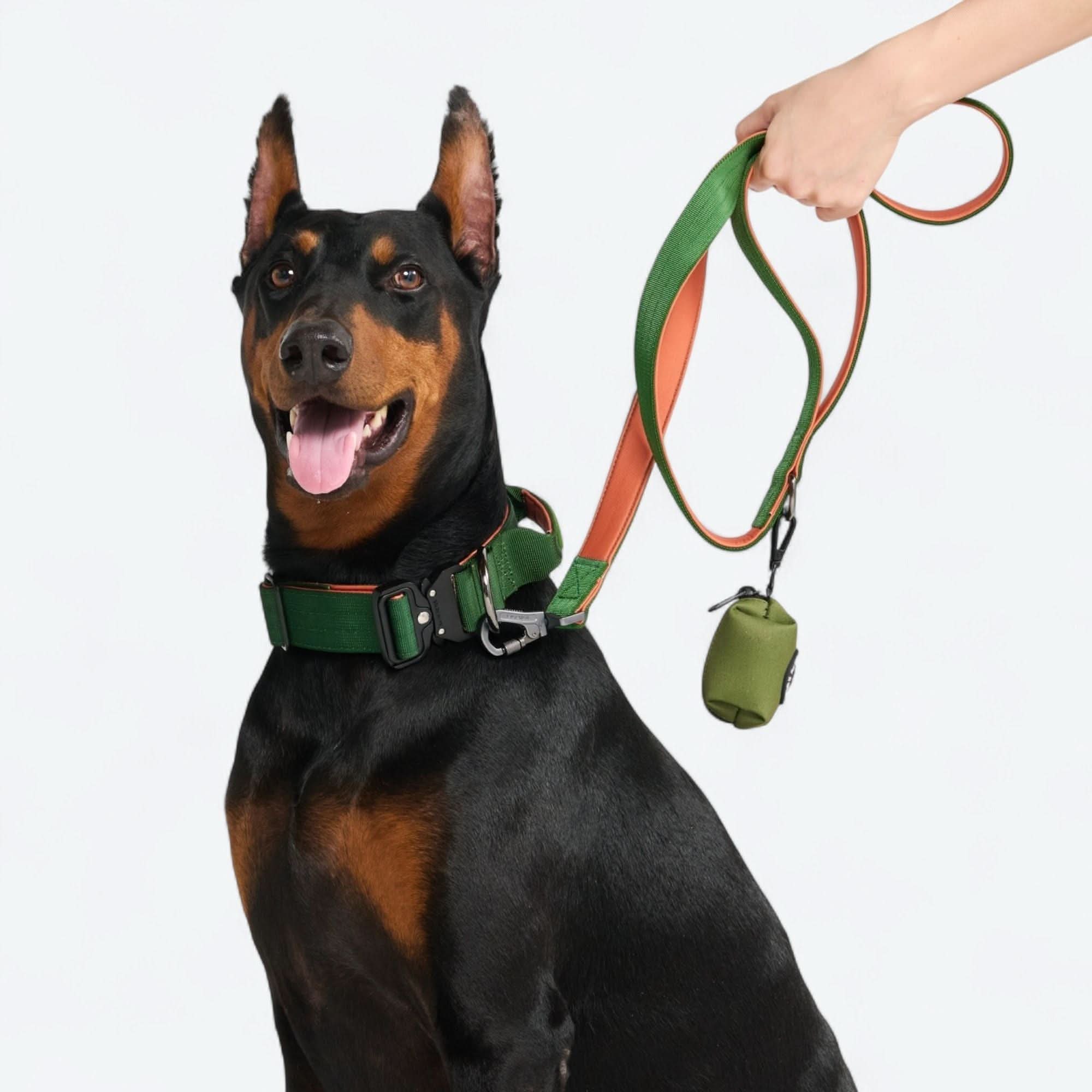 Comfort Control Dog Collar Sets - Image 71
