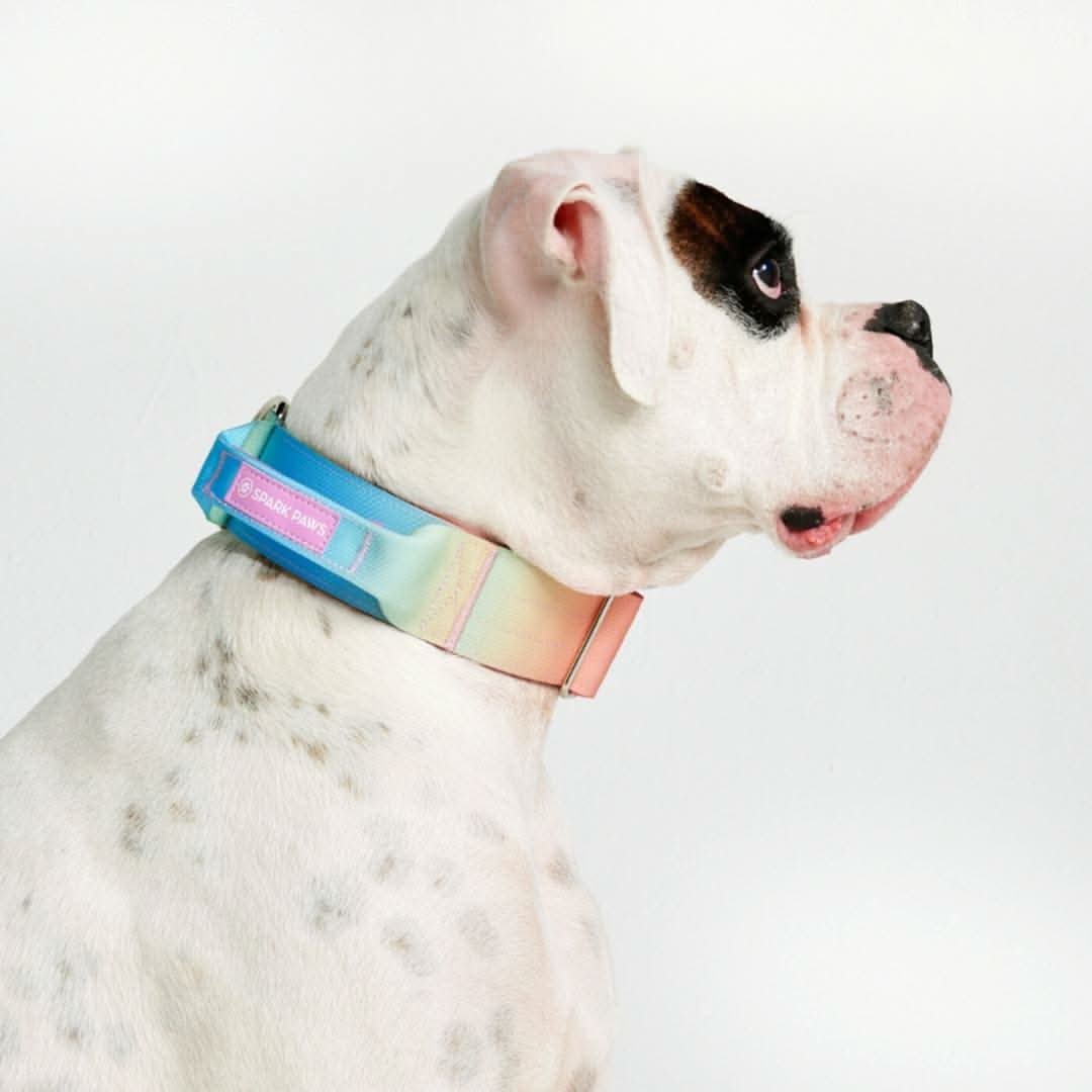 Comfort Control Dog Collars - Image 17