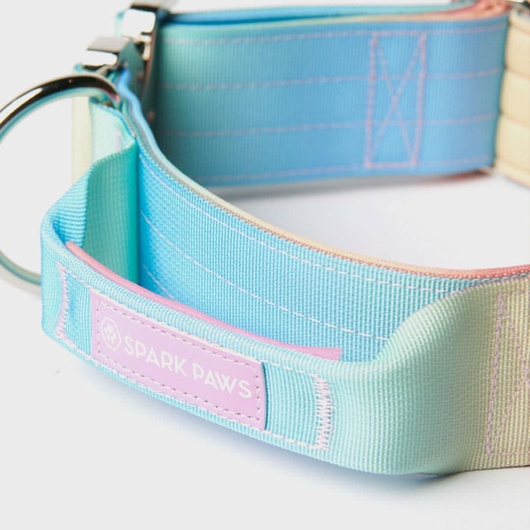 Comfort Control Dog Collars - Image 21