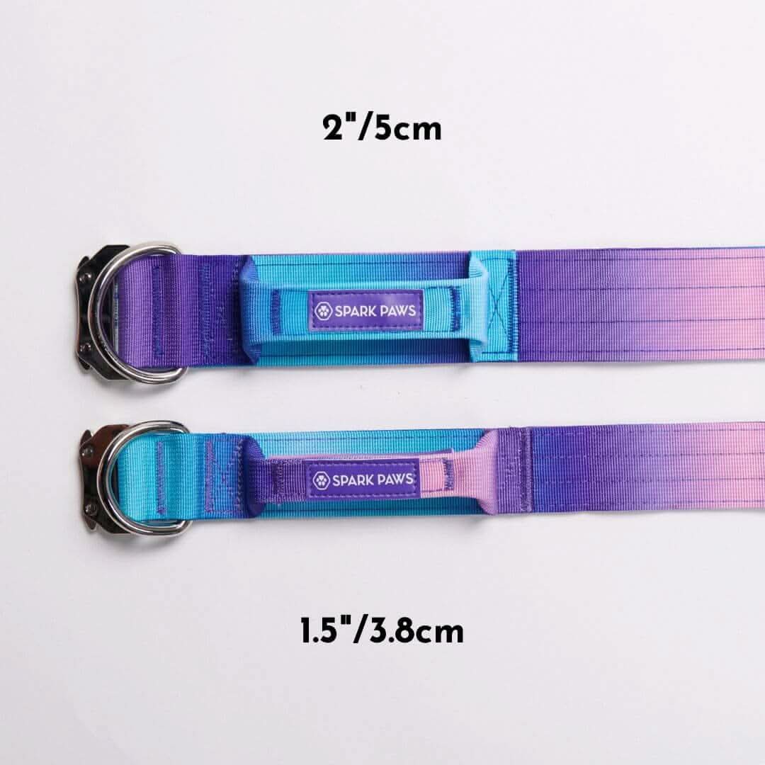 Comfort Control Dog Collars - Image 4
