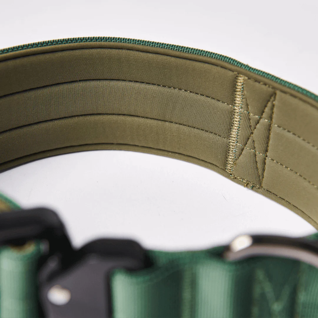 Comfort Control Dog Collars - Image 53